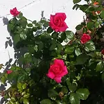 Memories *