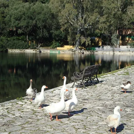 Memories Holiday home *